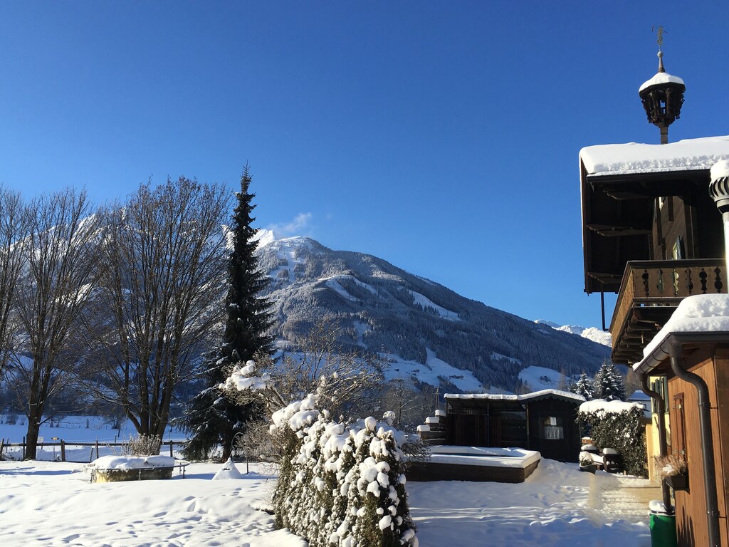 Ferienwohnung Chalet Mittersill C (194918), Mittersill, Pinzgau, Salzburg, Österreich, Bild 25