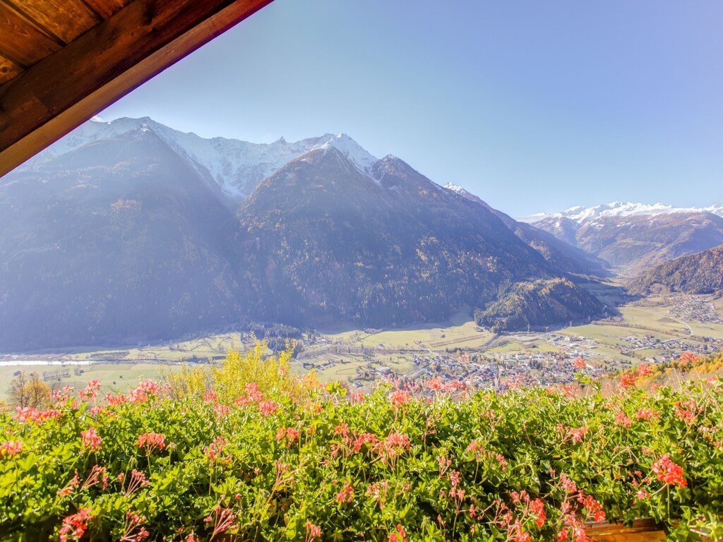 Ferienhaus Gatternighof (224498), Obervellach, , Kärnten, Österreich, Bild 21