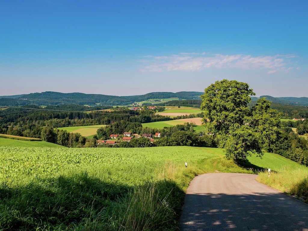 Ferienwohnung Bayerischer Wald (299909), Rattiszell, Bayerischer Wald, Bayern, Deutschland, Bild 26