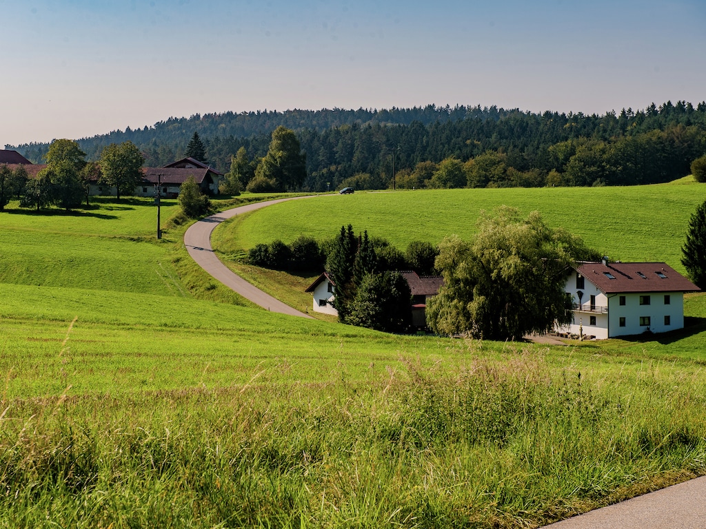 Ferienwohnung Bayerischer Wald (299908), Rattiszell, Bayerischer Wald, Bayern, Deutschland, Bild 26