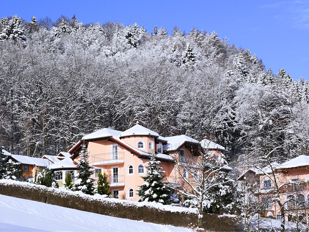 Ferienwohnung Bayerischer Wald (299908), Rattiszell, Bayerischer Wald, Bayern, Deutschland, Bild 28