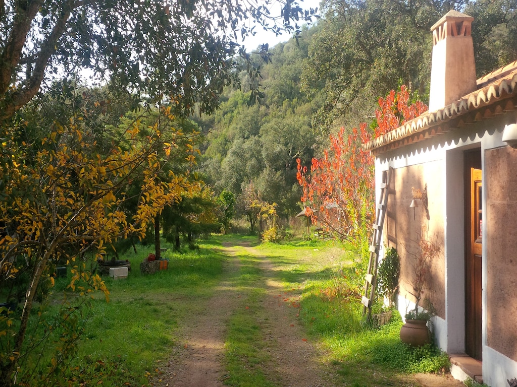 Holiday house Casa da Adega (308948), Odemira, Costa Vicentina, Alentejo, Portugal, picture 10