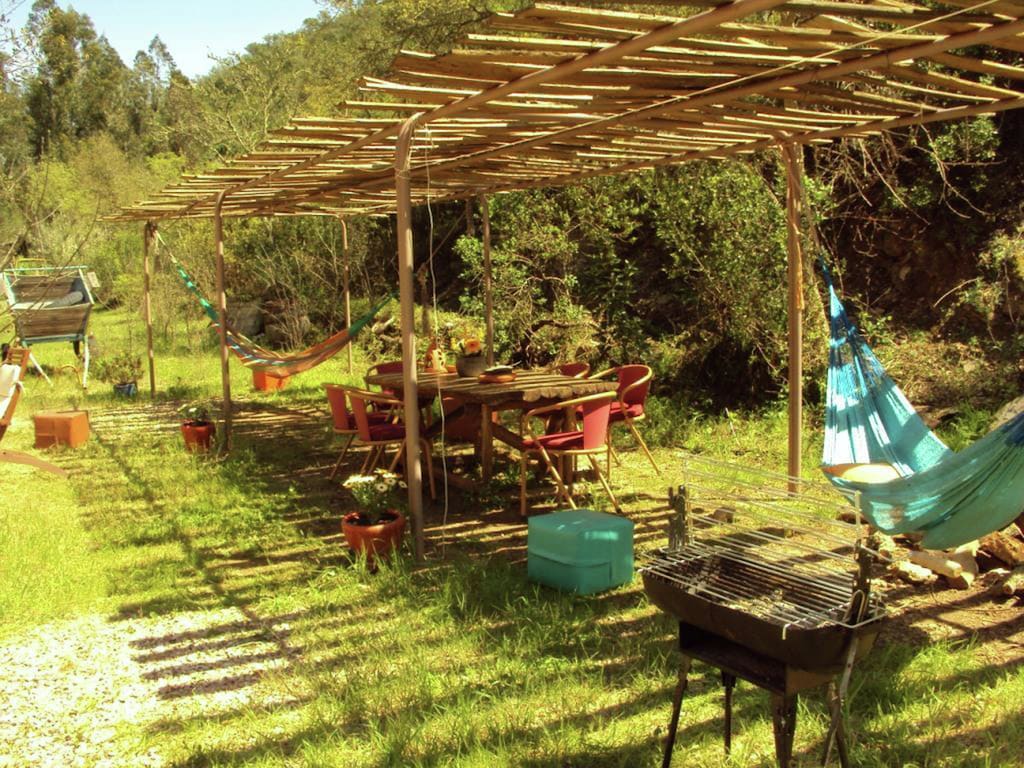 Holiday house Casa da Adega (308948), Odemira, Costa Vicentina, Alentejo, Portugal, picture 4
