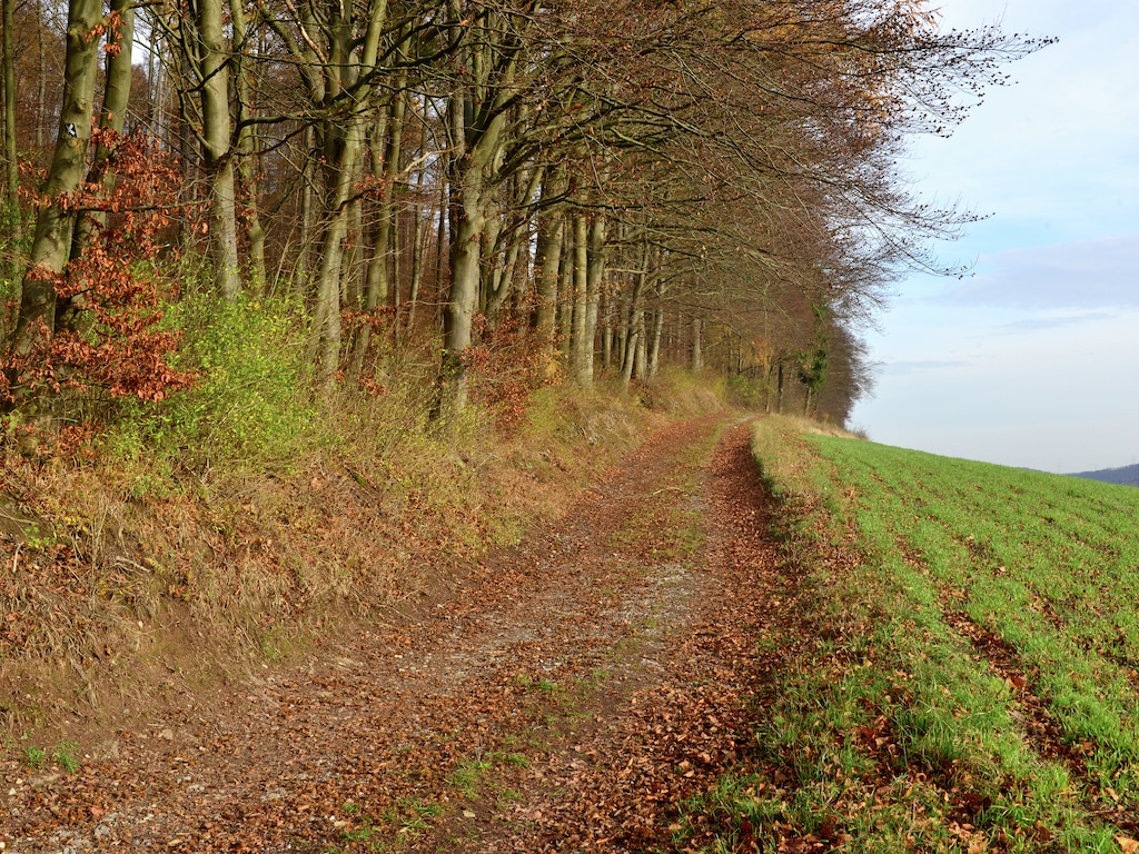 Ferienwohnung Weserbergland (310972), Bad Pyrmont, Weserbergland (Niedersachsen), Niedersachsen, Deutschland, Bild 26