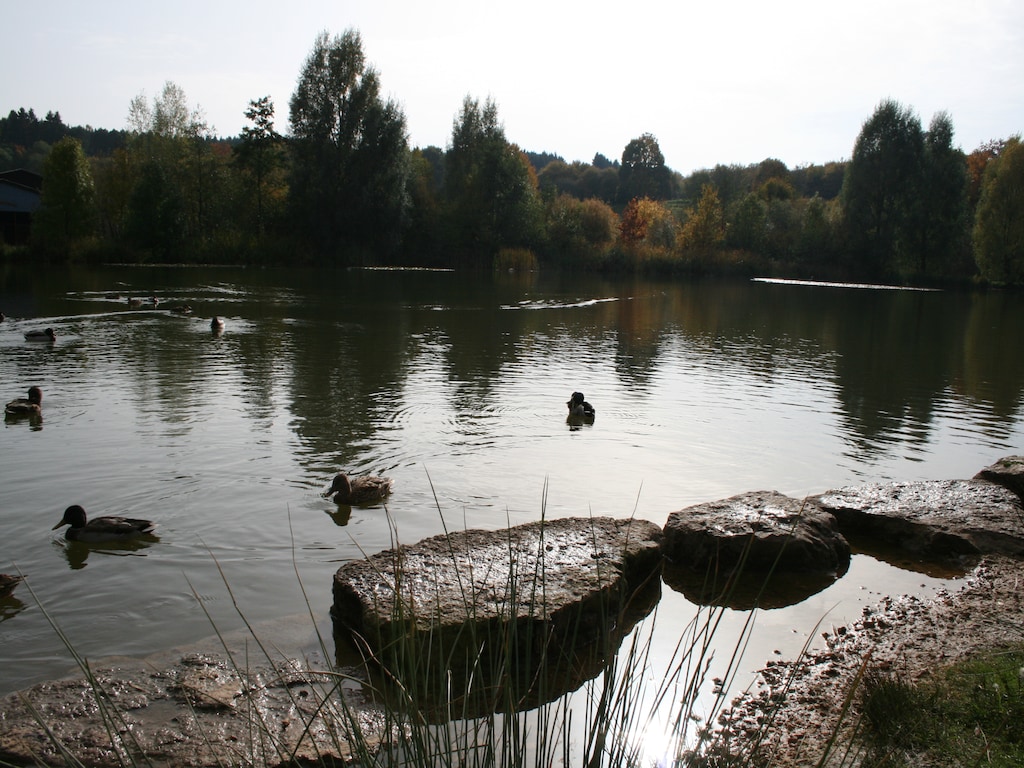 Bild 20