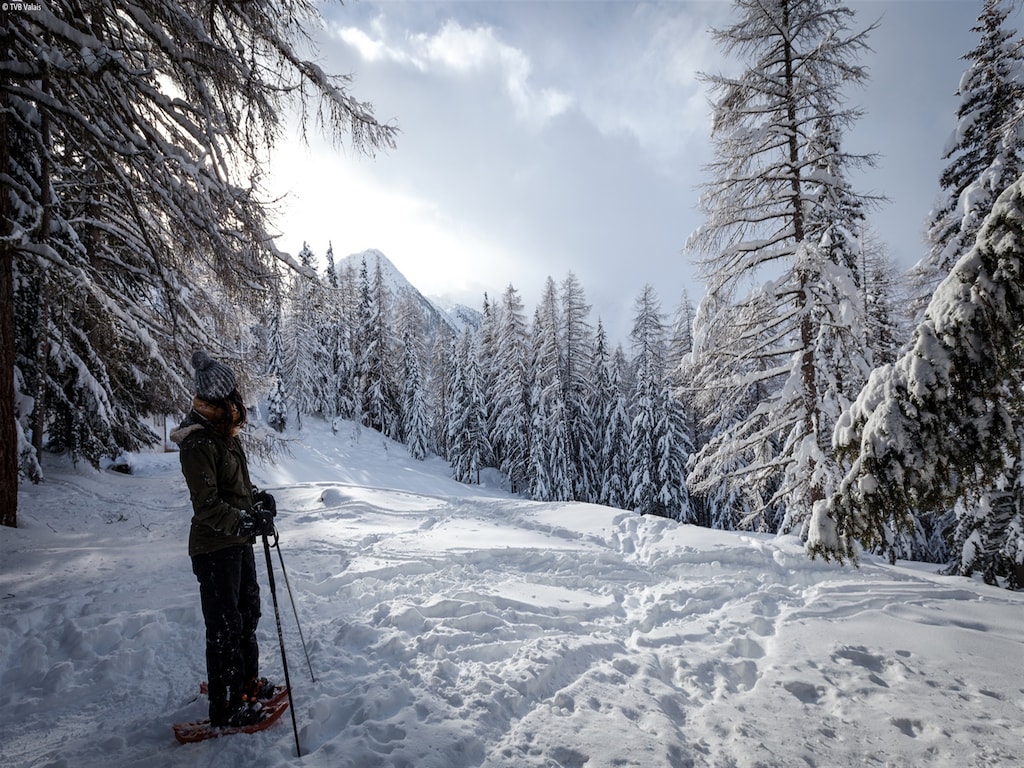 Picture 18 Picture 18