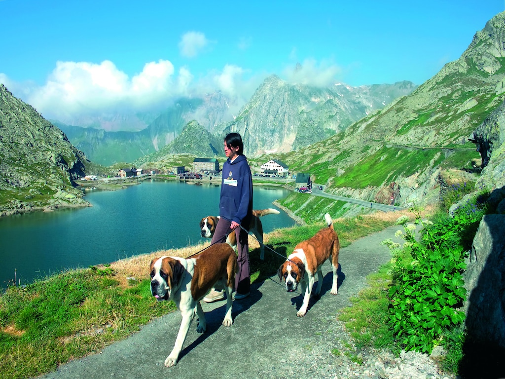 Picture 39 Picture 39