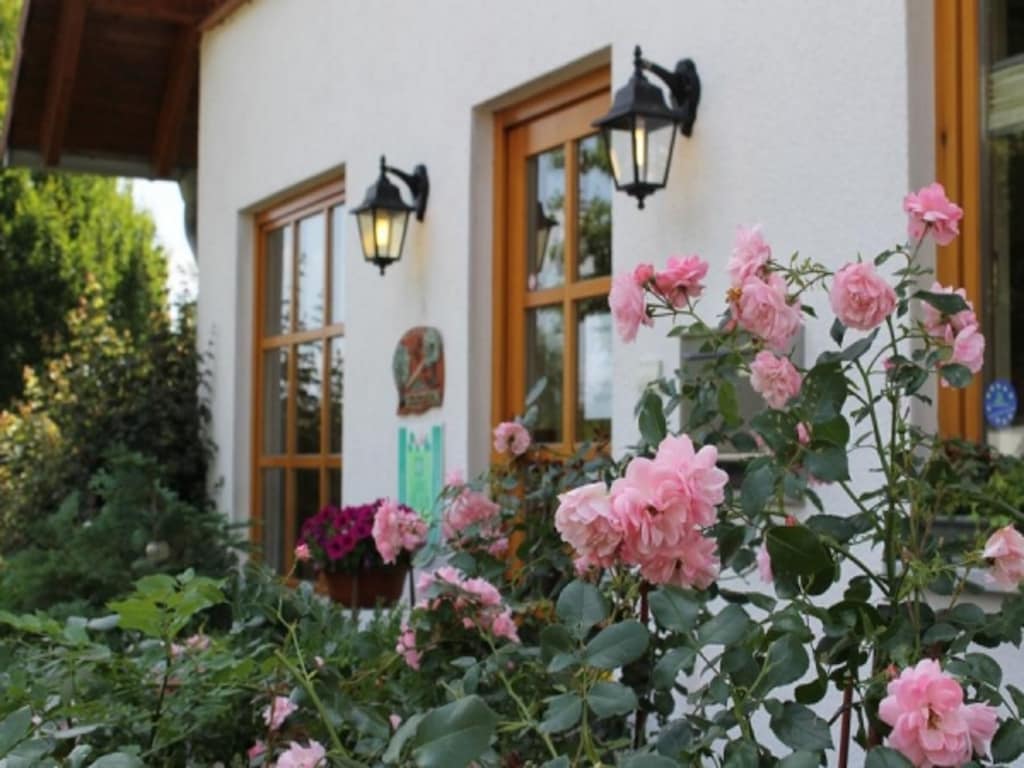 Bild 8 Bild 8