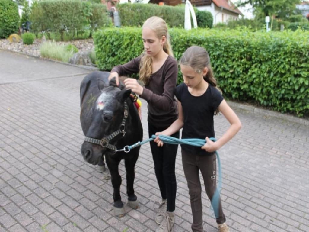 Bild 9 Bild 9