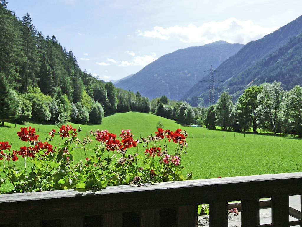 Ferienwohnung Angerer (376763), Matrei in Osttirol, Osttirol, Tirol, Österreich, Bild 37