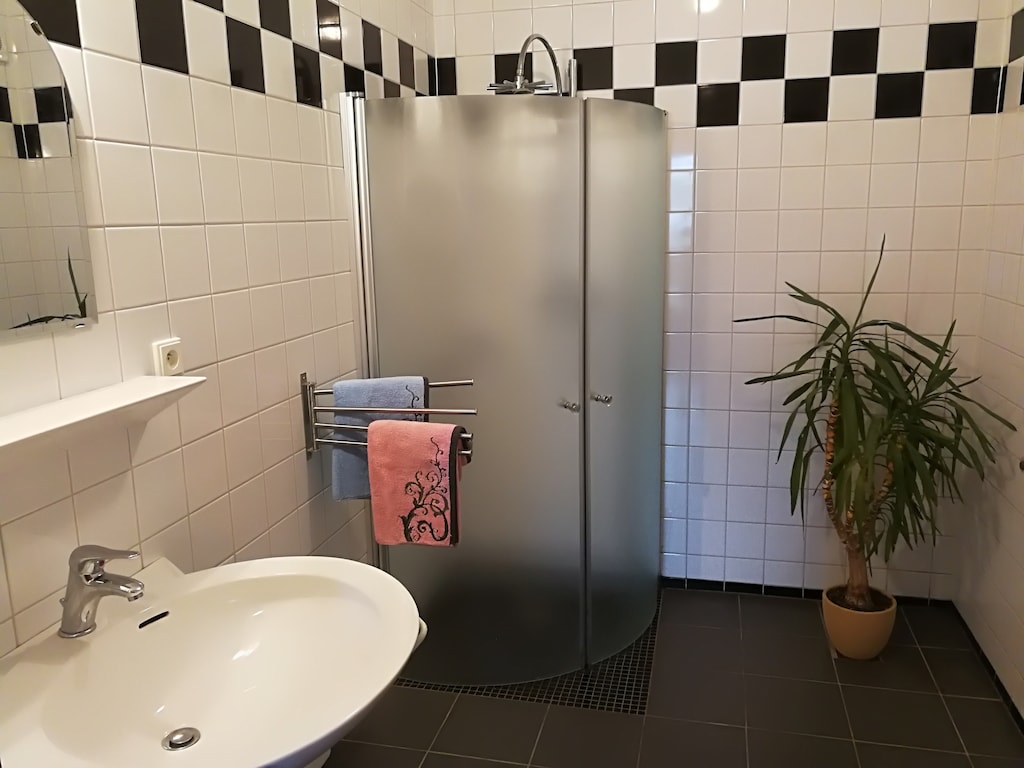 Bild 11 Bild 11
