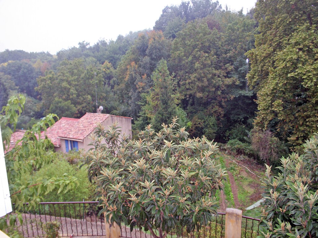 Bild 5 Bild 5