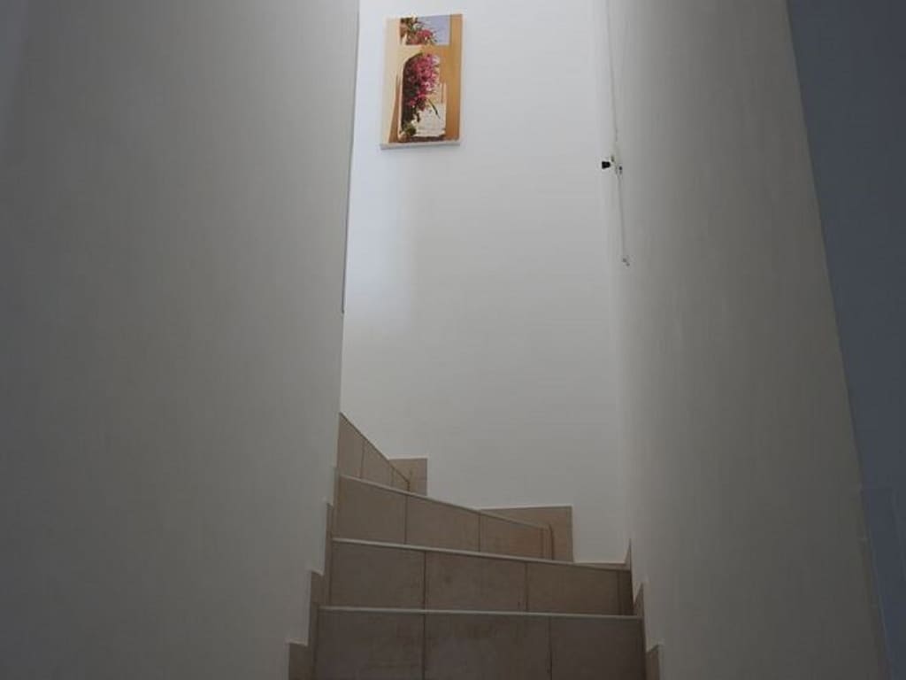 Bild 11 Bild 11