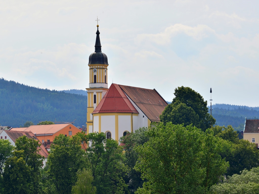 Ferienhaus  (440800), Viechtach, Bayerischer Wald, Bayern, Deutschland, Bild 25