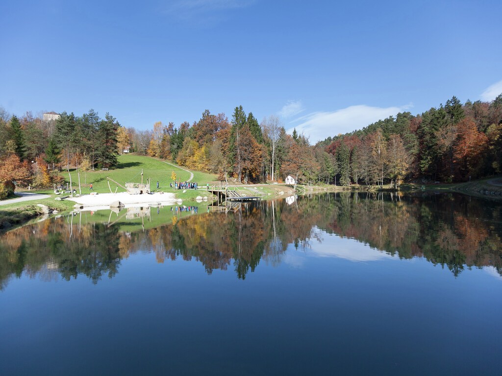 Ferienhaus Im Bayerischen Wald (447518), Saldenburg, Bayerischer Wald, Bayern, Deutschland, Bild 17
