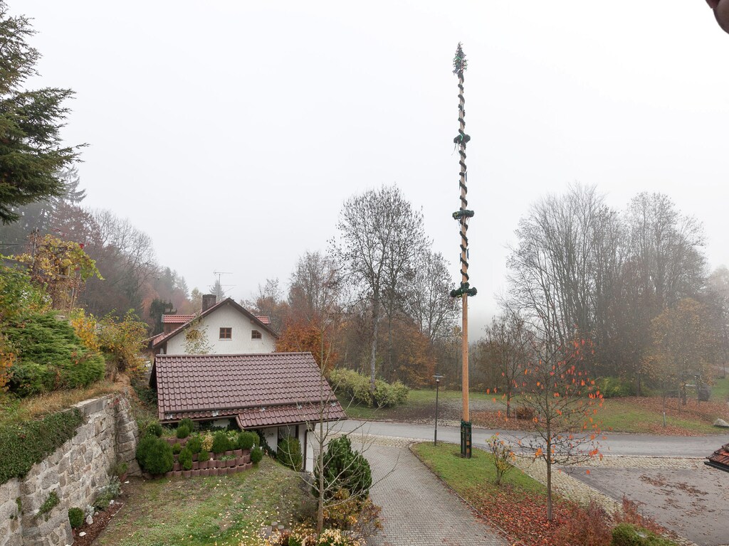 Ferienhaus Im Bayerischen Wald (447518), Saldenburg, Bayerischer Wald, Bayern, Deutschland, Bild 3