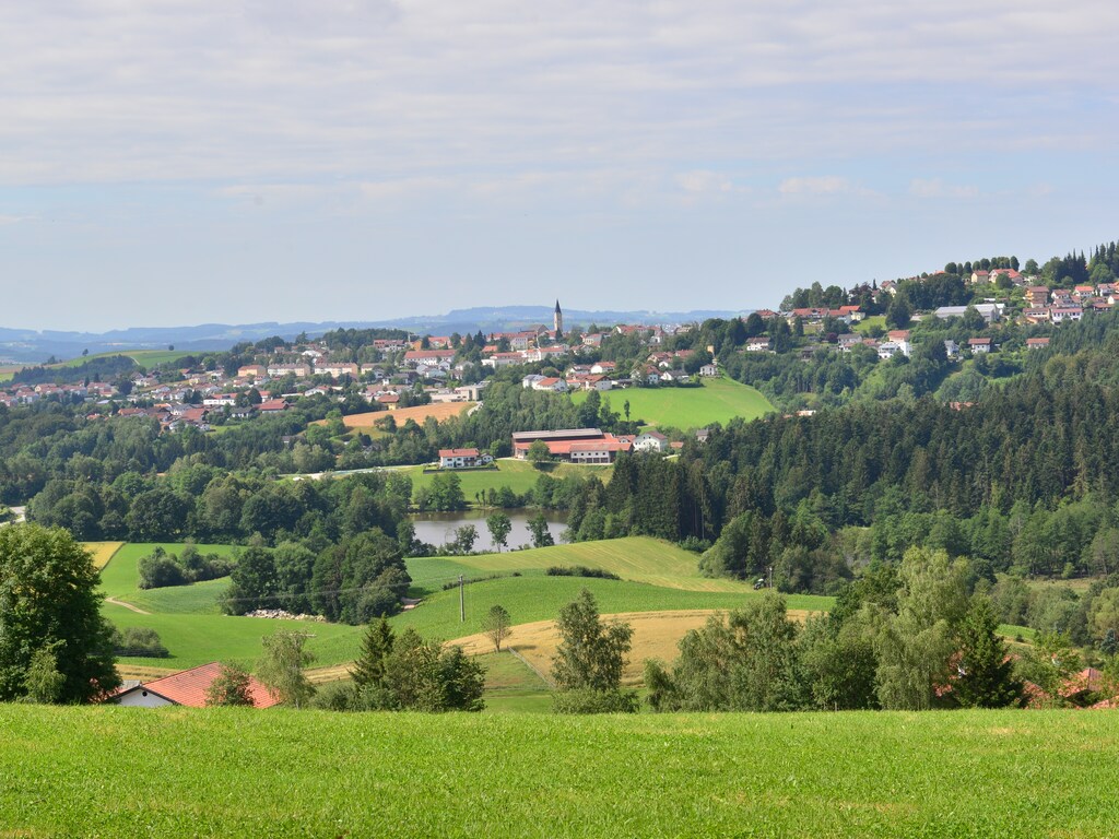 Ferienwohnung Hauzenberg (456799), Hauzenberg, Bayerischer Wald, Bayern, Deutschland, Bild 17