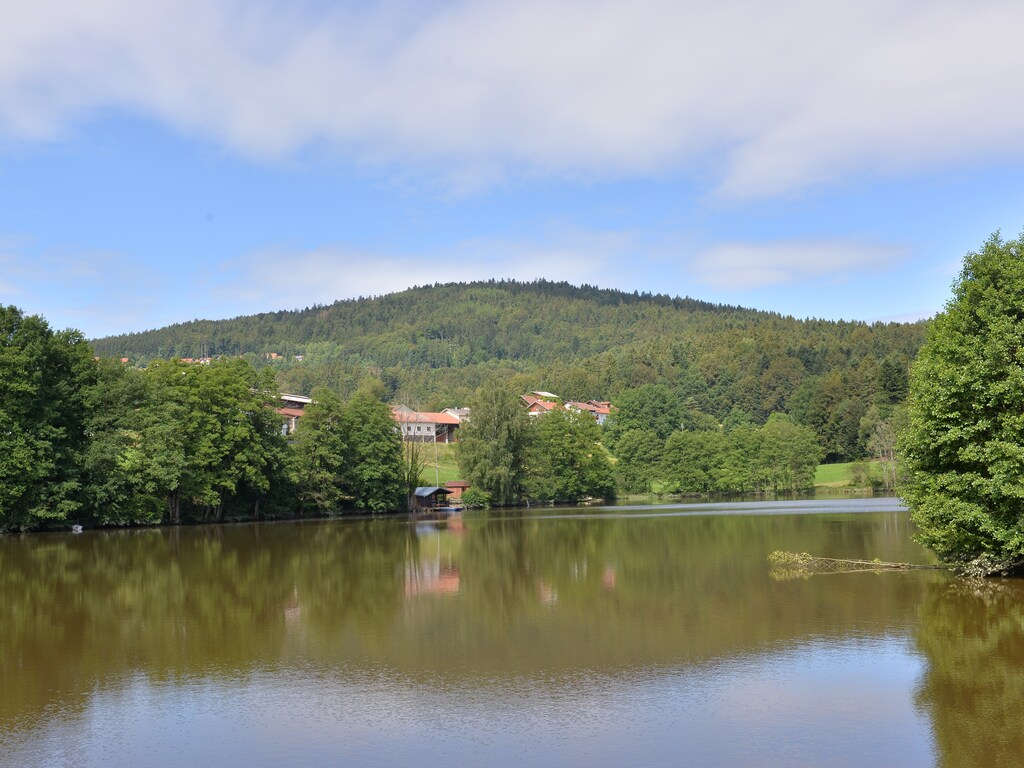 Ferienwohnung Hauzenberg (456799), Hauzenberg, Bayerischer Wald, Bayern, Deutschland, Bild 16