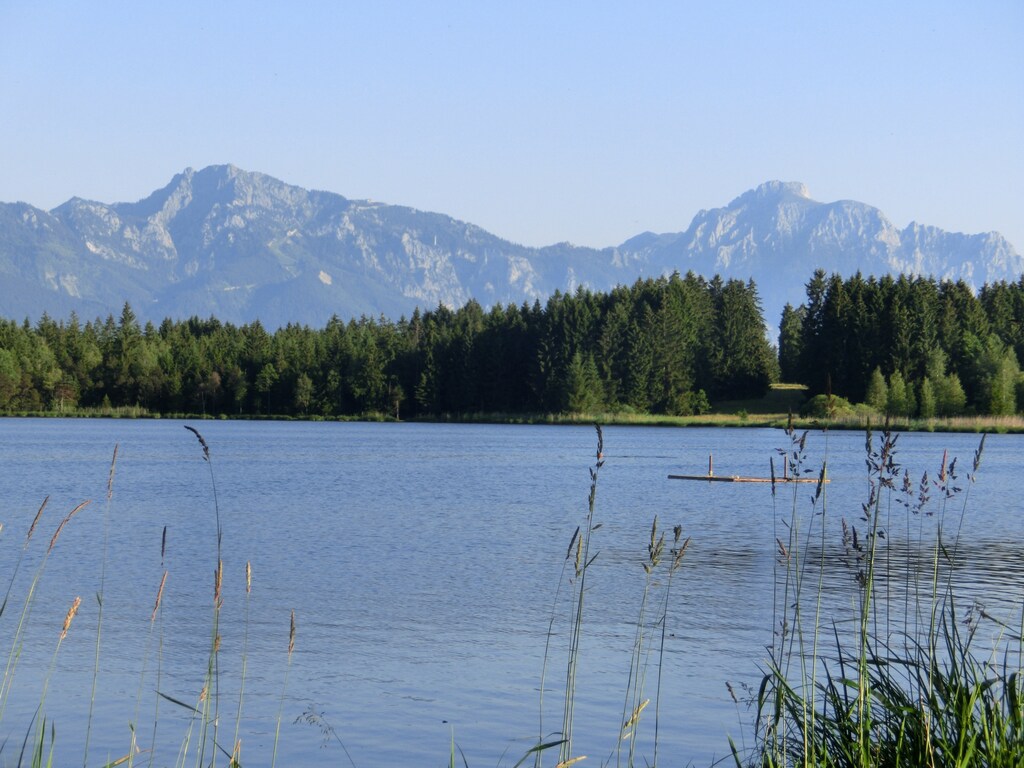 Bild 17 Bild 17