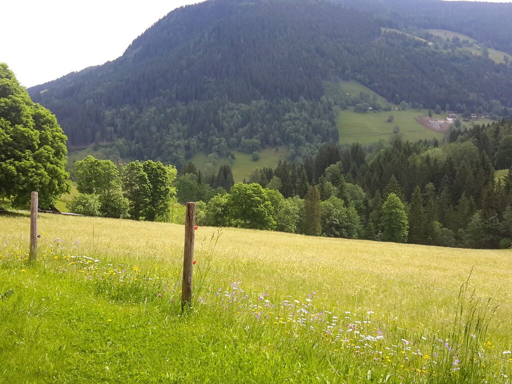 Ferienwohnung Lahnberg (477337), Rohrmoos-Untertal, Schladming-Dachstein, Steiermark, Österreich, Bild 17