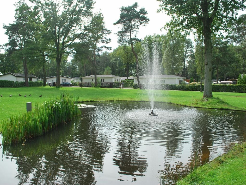 Bospark Ede liegt in wunderschöner Umgebung, inmitten der Natur der Veluwe. Er hat zahlreiche Einrichtungen für Jung und Alt, darunter ein Freibad.