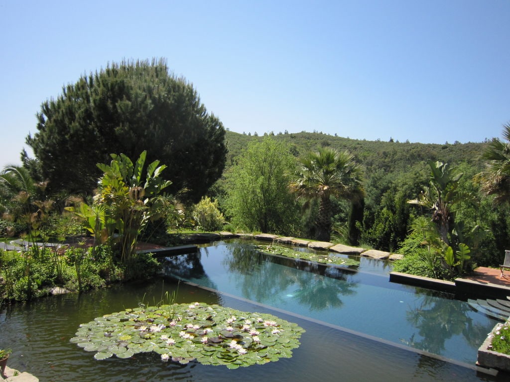 Ferienhaus Villa Foz do Banho (482923), Monchique, , Algarve, Portugal, Bild 32