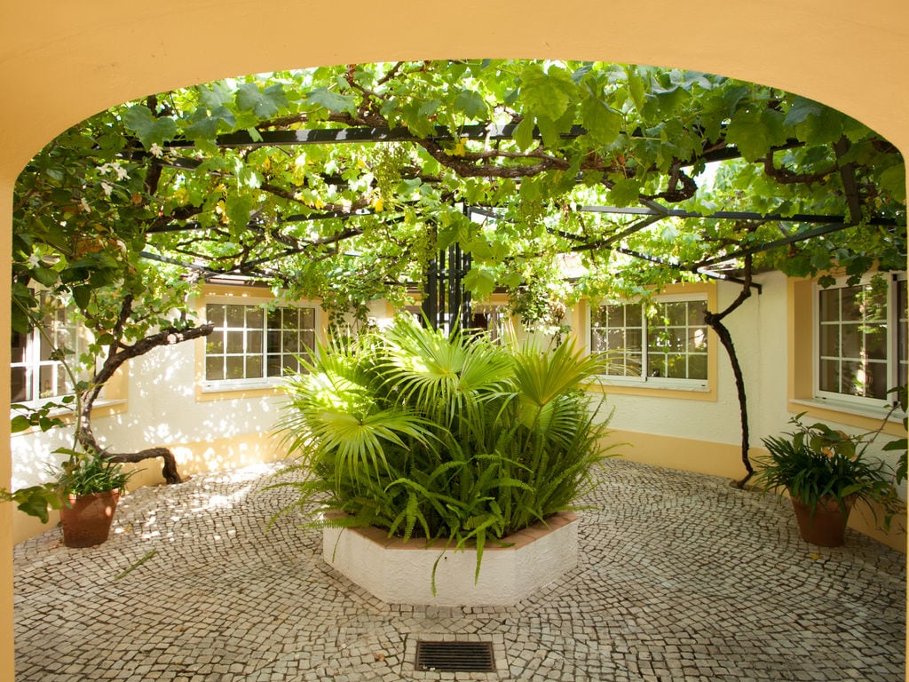 Ferienhaus Villa Foz do Banho (482923), Monchique, , Algarve, Portugal, Bild 29