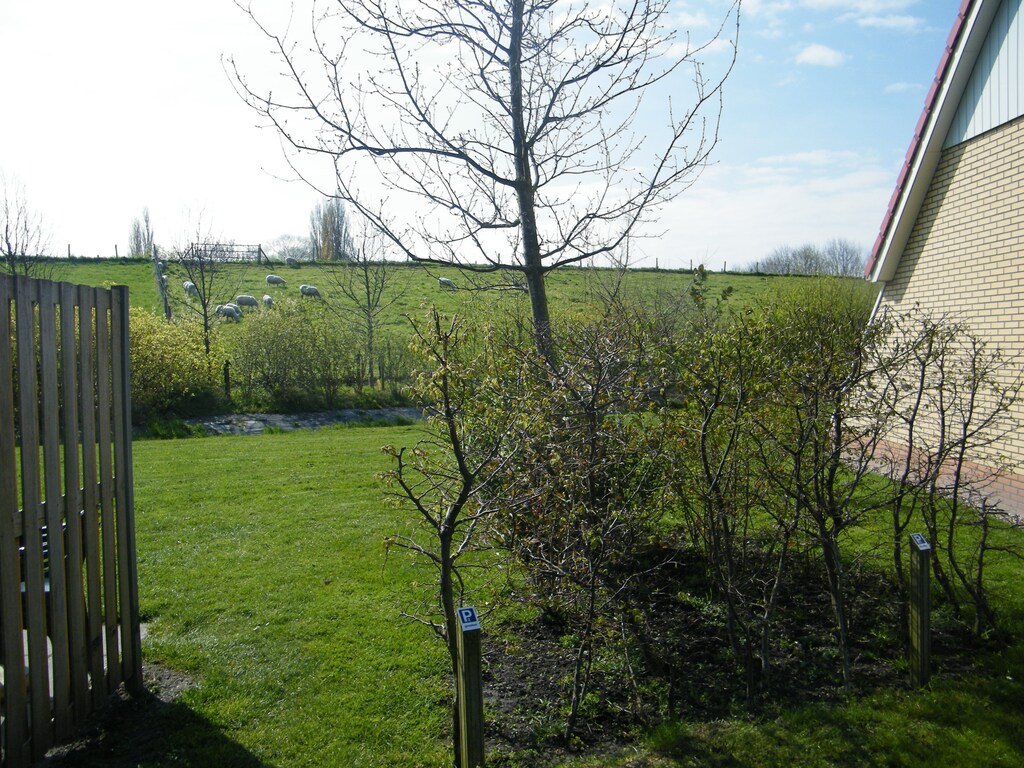 Bild 7 Bild 7