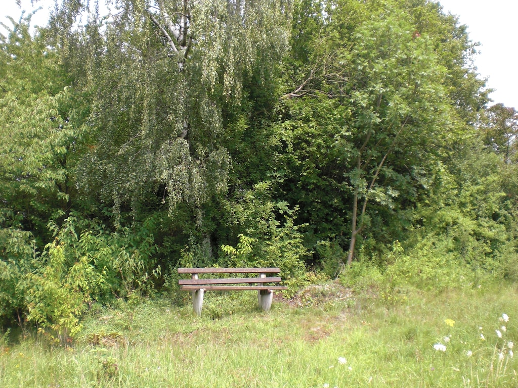 Bild 16 Bild 16
