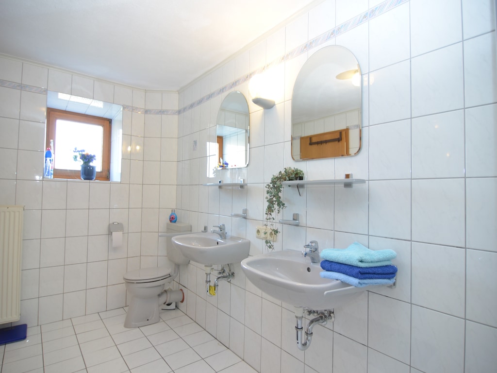 Ferienhaus Wiesing (495461), Viechtach, Bayerischer Wald, Bayern, Deutschland, Bild 12
