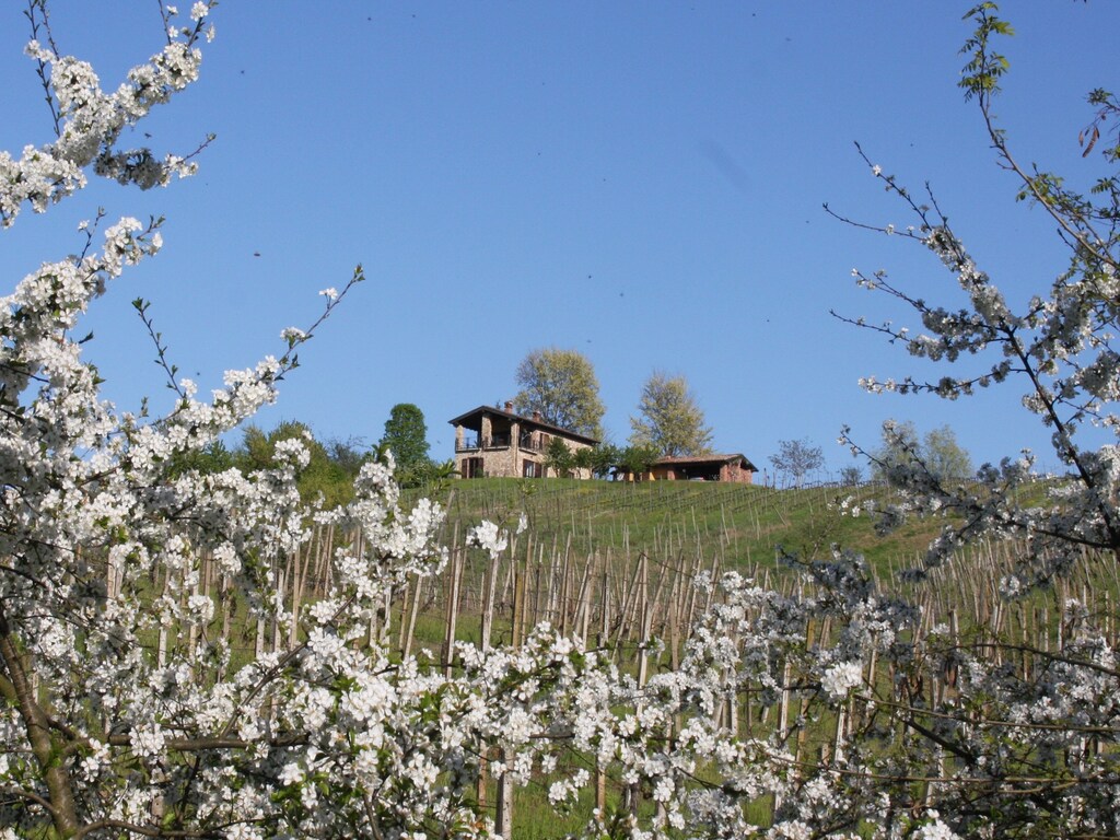 Bild 6 Bild 6