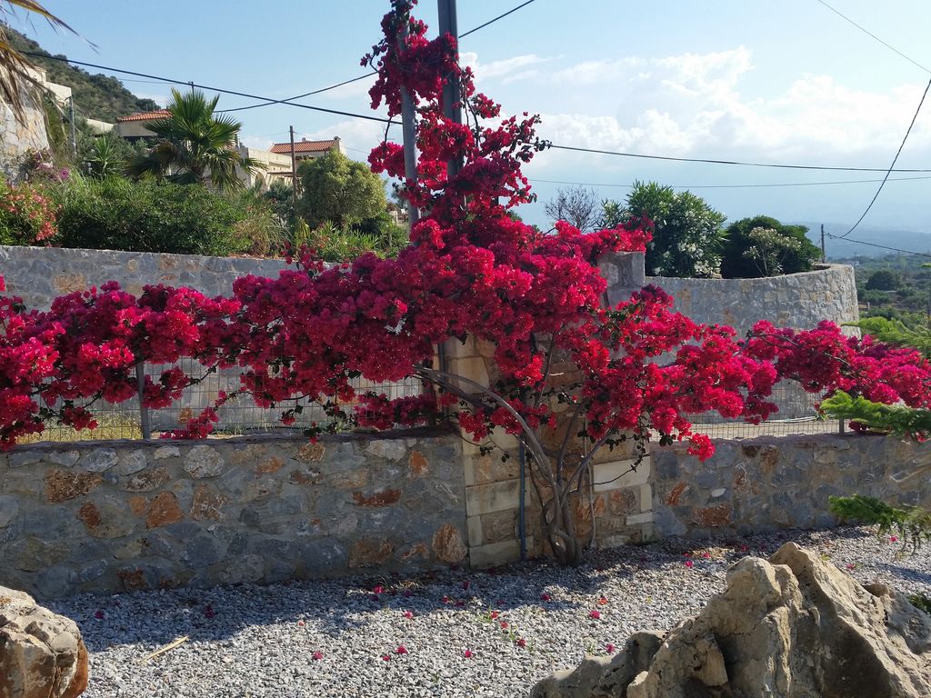 Ferienhaus Villa Maria II (597487), Gavalochori, Kreta Nordküste, Kreta, Griechenland, Bild 38