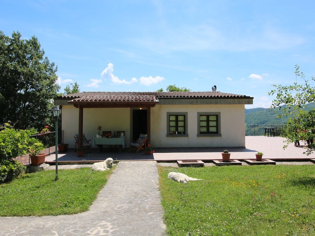 Bild 7