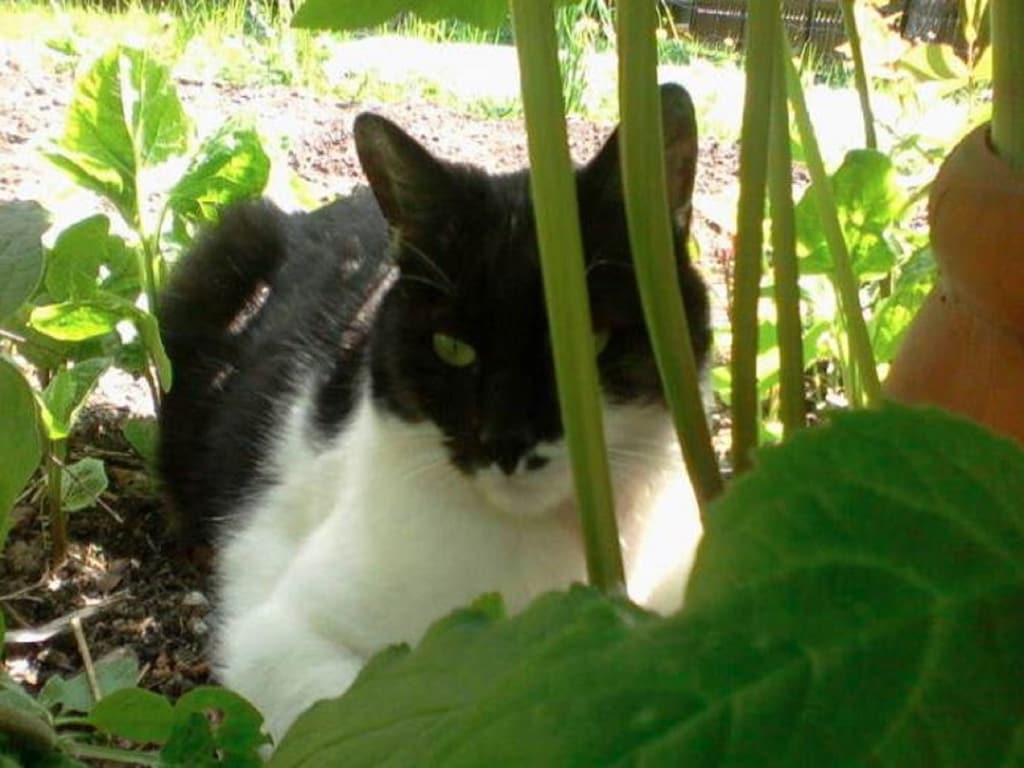 Bild 9 Bild 9