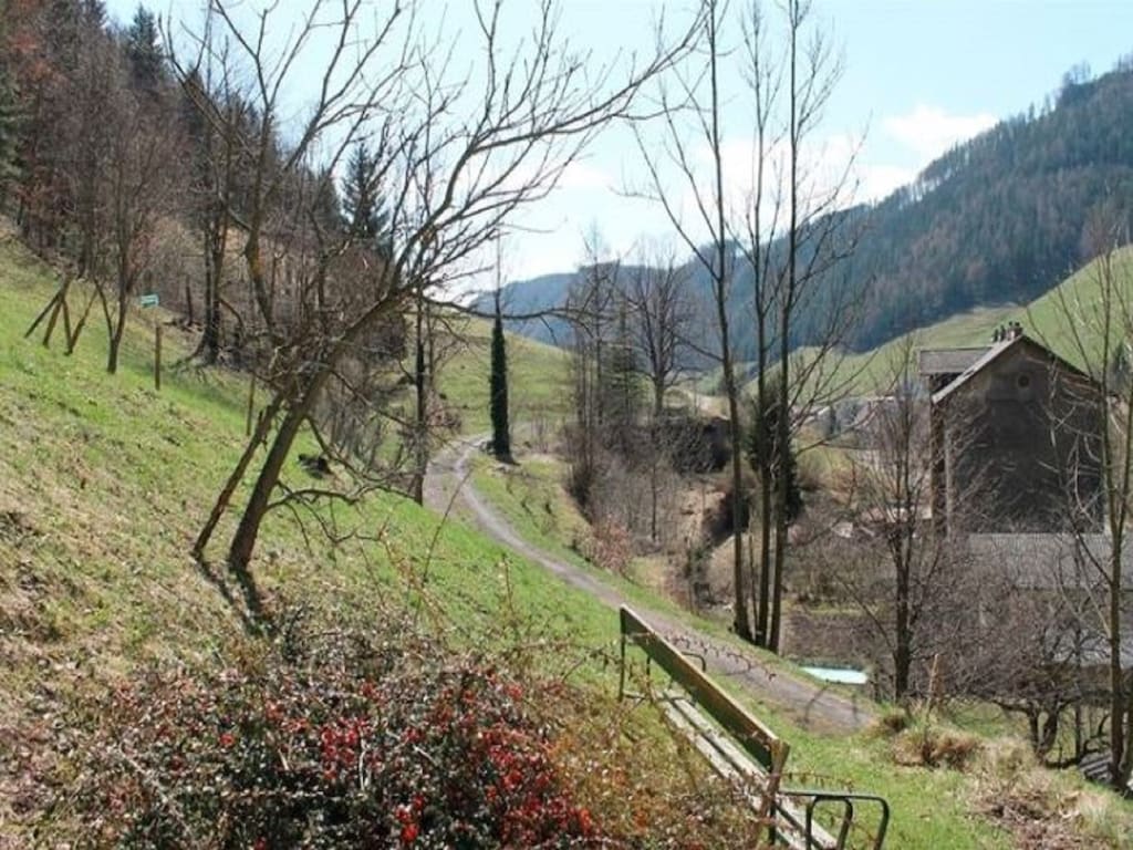 Bild 12 Bild 12