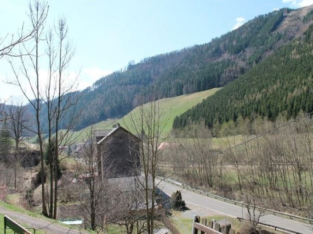 Bild 11 Bild 11