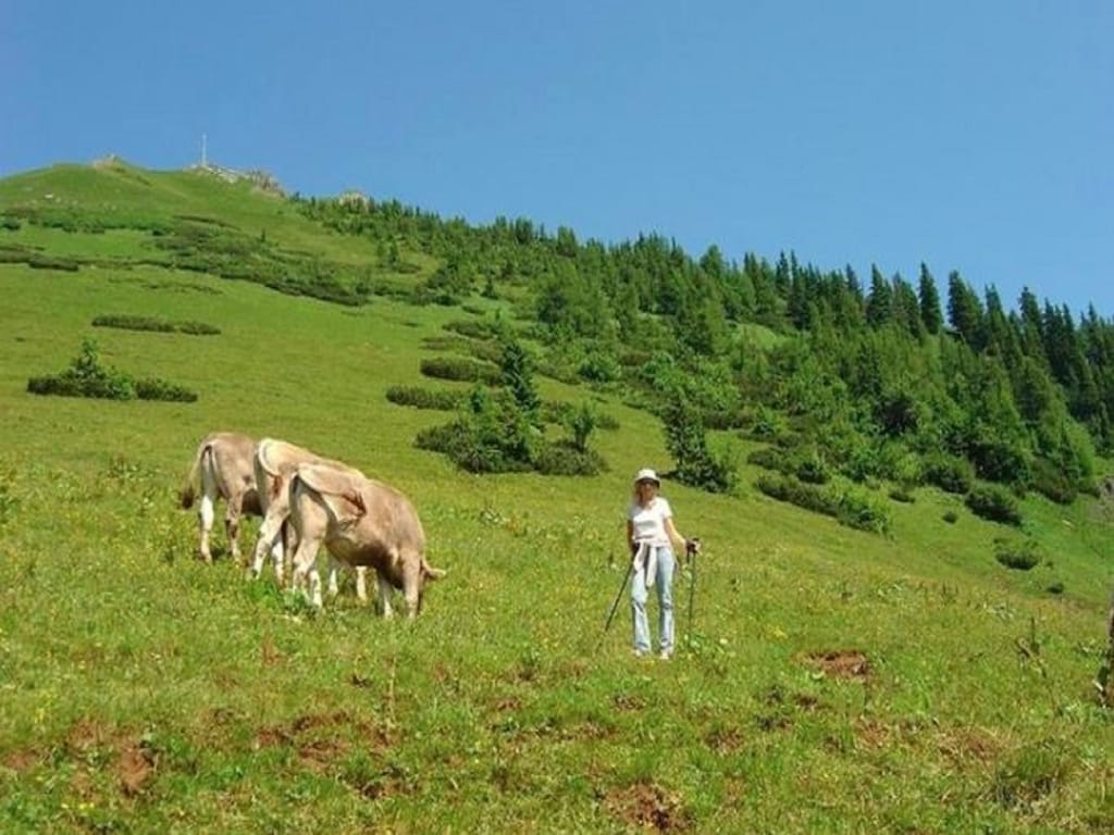 Bild 20 Bild 20