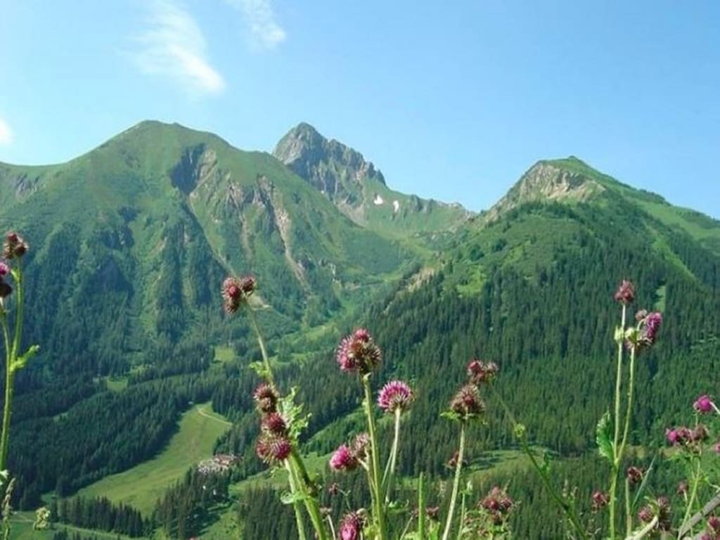 Bild 23 Bild 23