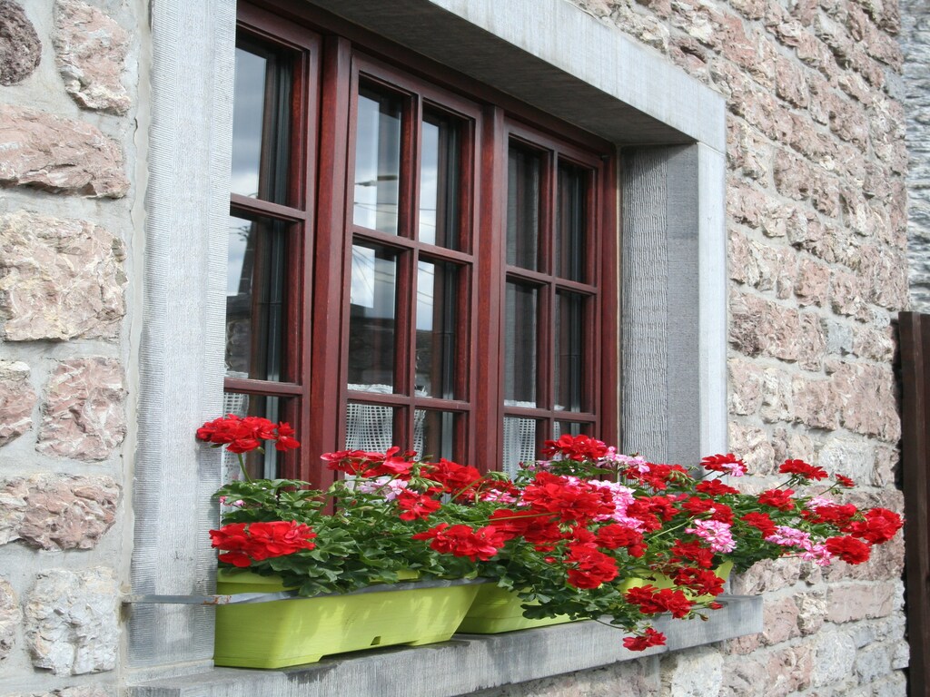 Bild 2 Bild 2