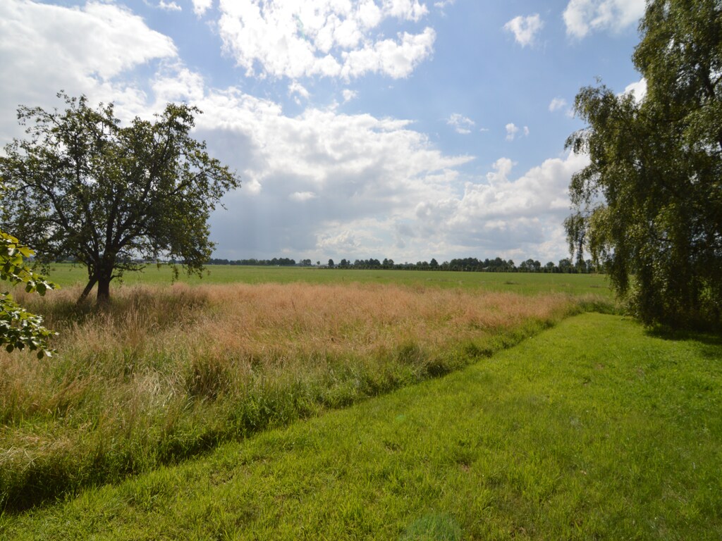 Bild 7 Bild 7