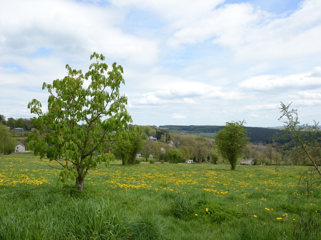 Bild 5 Bild 5