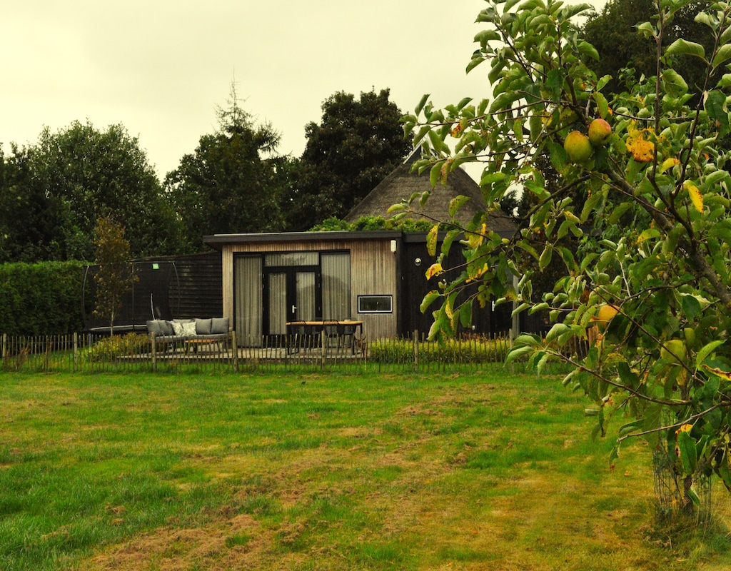 Vakantiehuis met omheinde tuin in Haulerwijk (Nederland) 1 hond is welkom