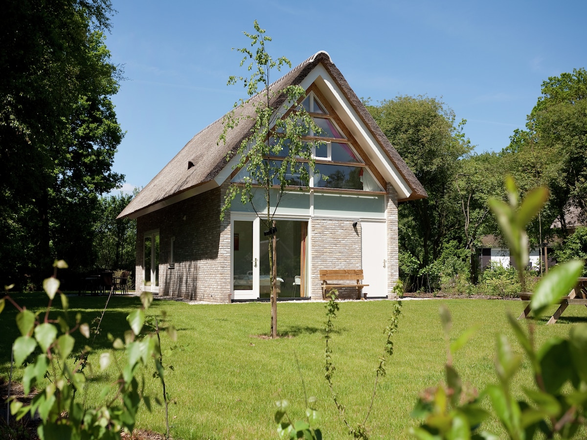 Luxe vrijstaande villa voor 4 personen in Ruinen in Ruinen
