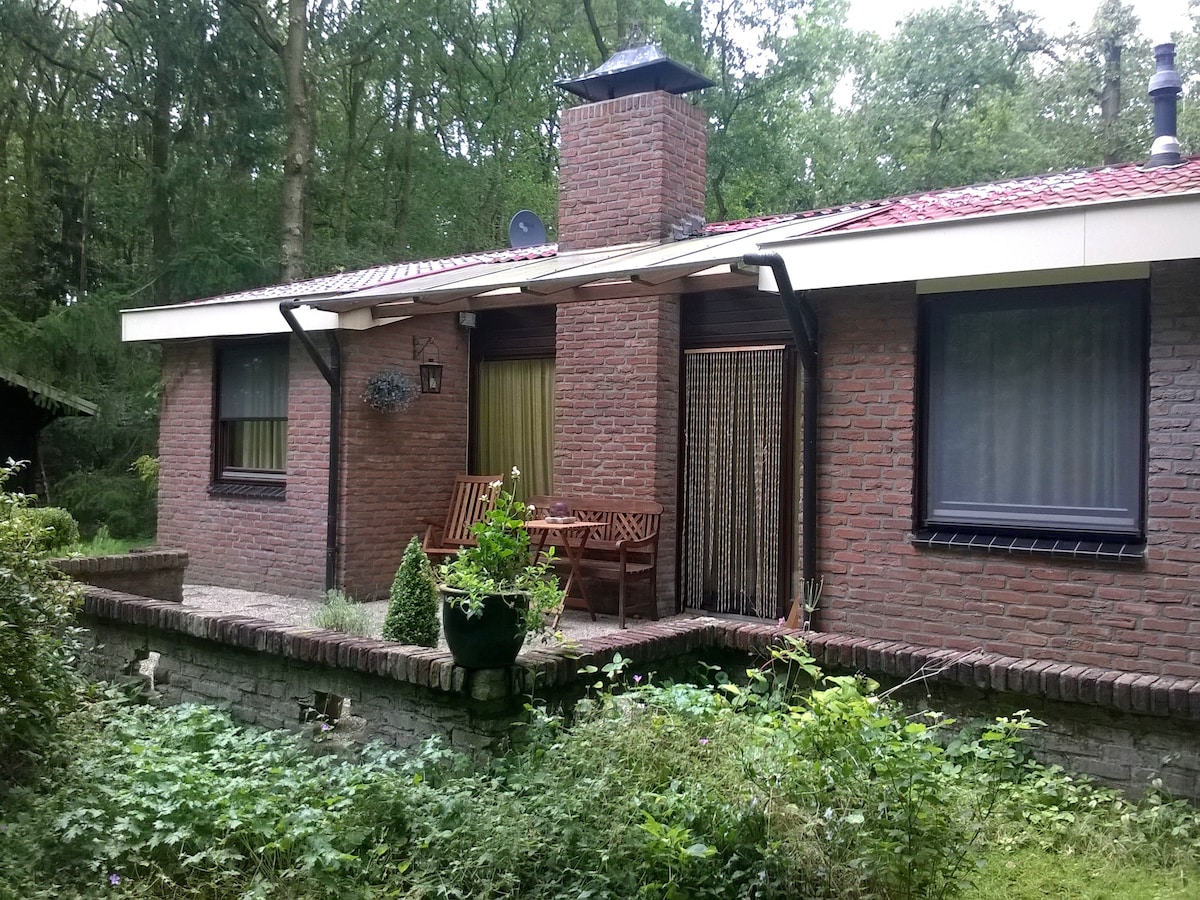 Rustgevend vakantiehuis The Forest Cottage in Zorgvlied in Zorgvlied