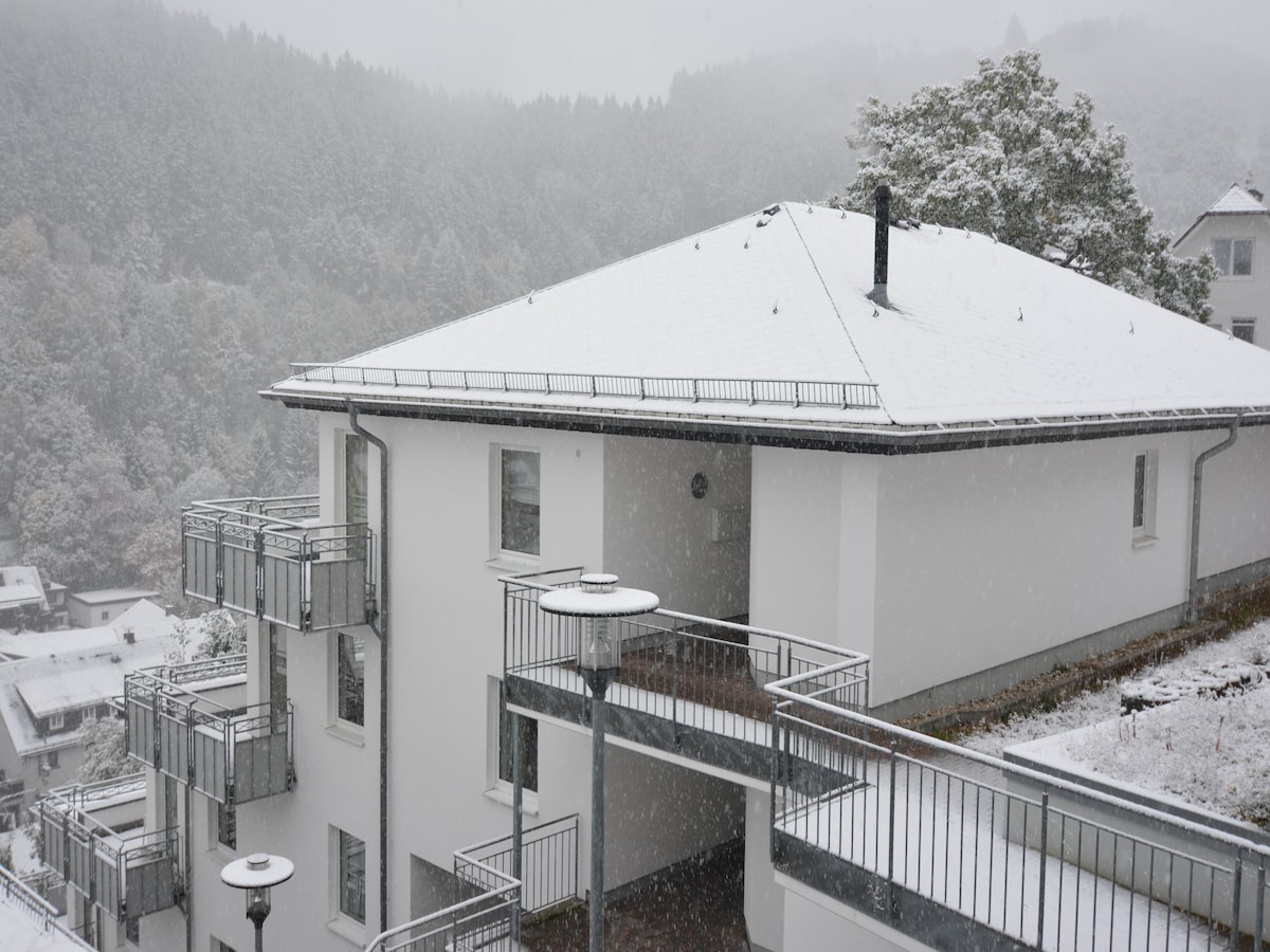 6-persoons appartement in centrum van Willingen nabij de piste in Willingen
