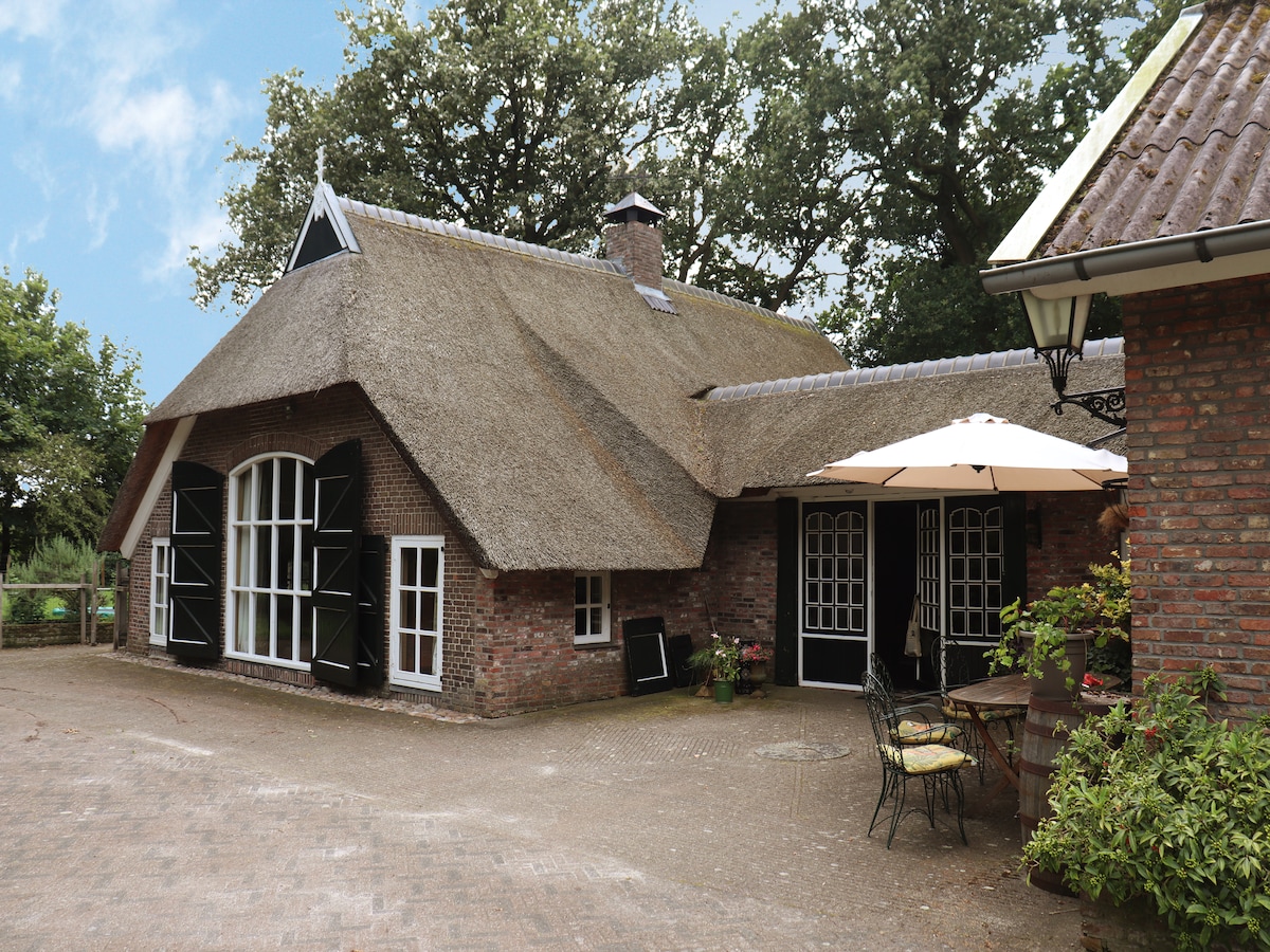 Luxe villa op Landgoed de Klimberg in Rheezerveen voor 9 personen in Rheezerveen