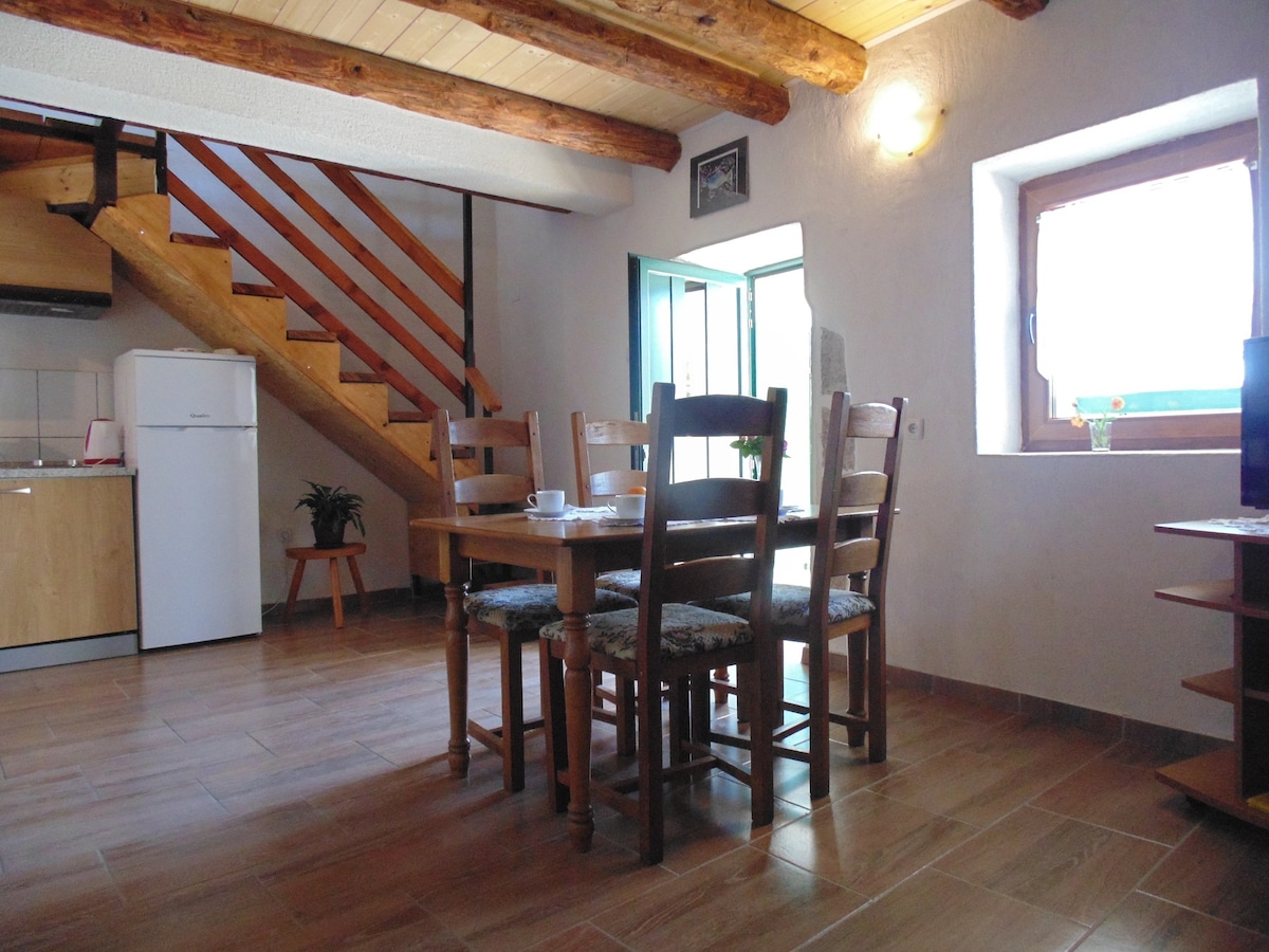 4-persoons vakantiehuis in Starigrad Paklenica nabij de zee in In het bos