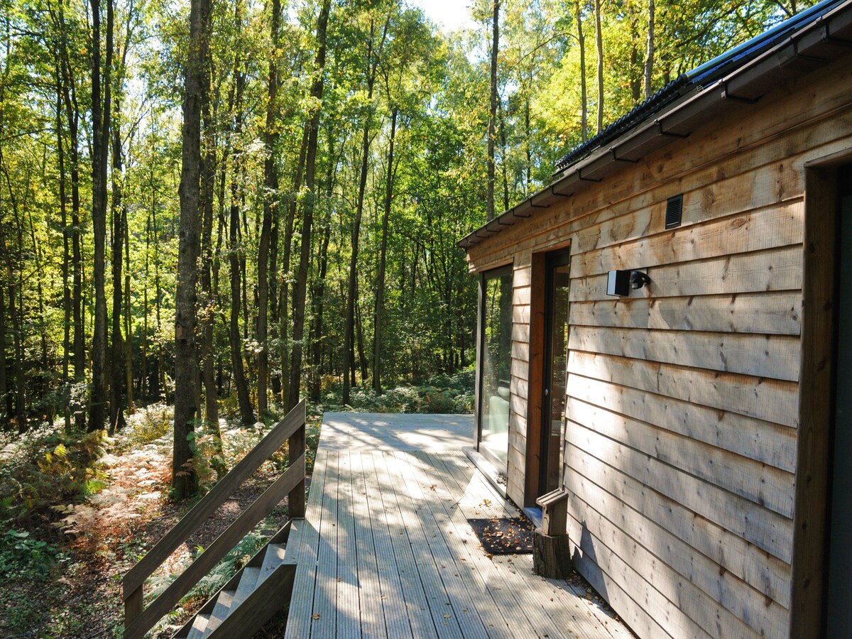 Modern vakantiehuis Droles d'écureuil in Oignies en Thierache in Oignies-en-Thierache