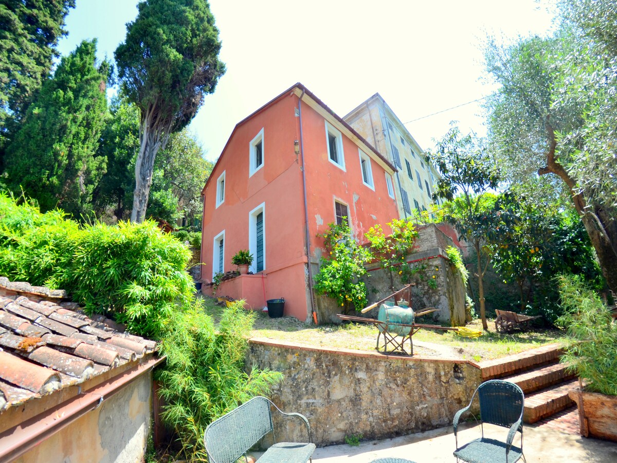 Collina Lagomare in Massarosa