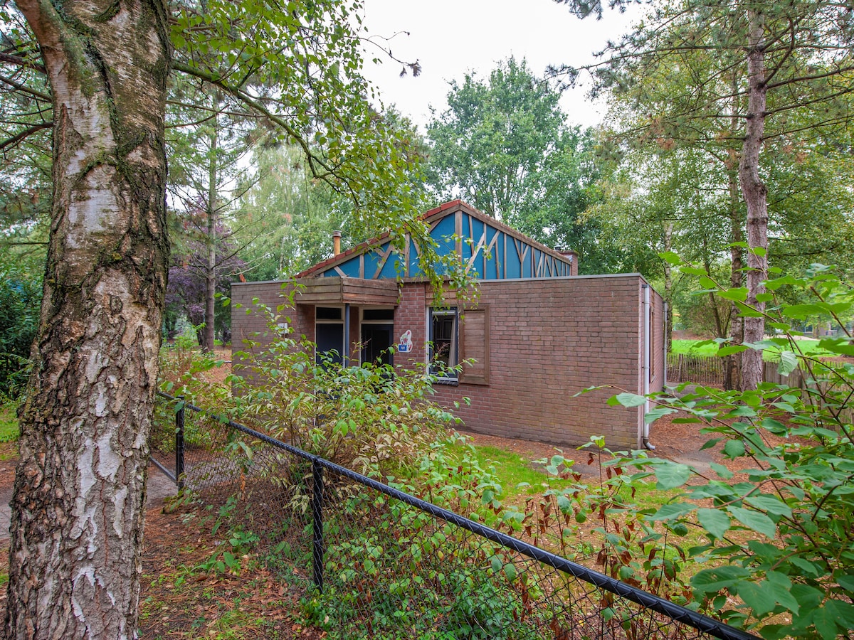 Gerenoveerde bungalow voor 6 personen op Vakantiepark Weerterbergen in Weert